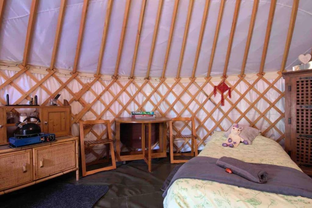 Magical Forest Yurt Sturry Exterior photo